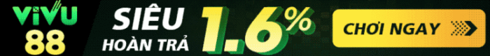 Banner 1